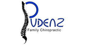 Chiropractic Carroll IA Pudenz Family Chiropractic